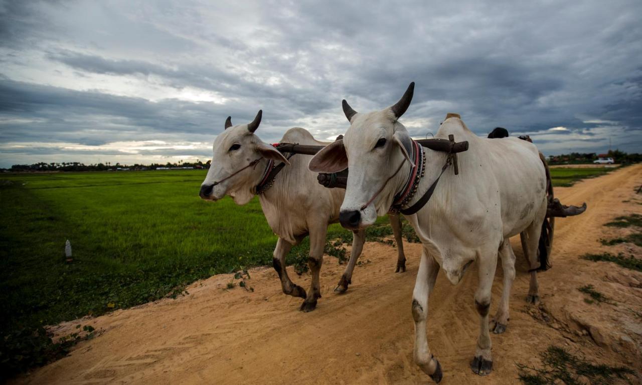 Madam Sokha Homesteading Сиемрип Экстерьер фото